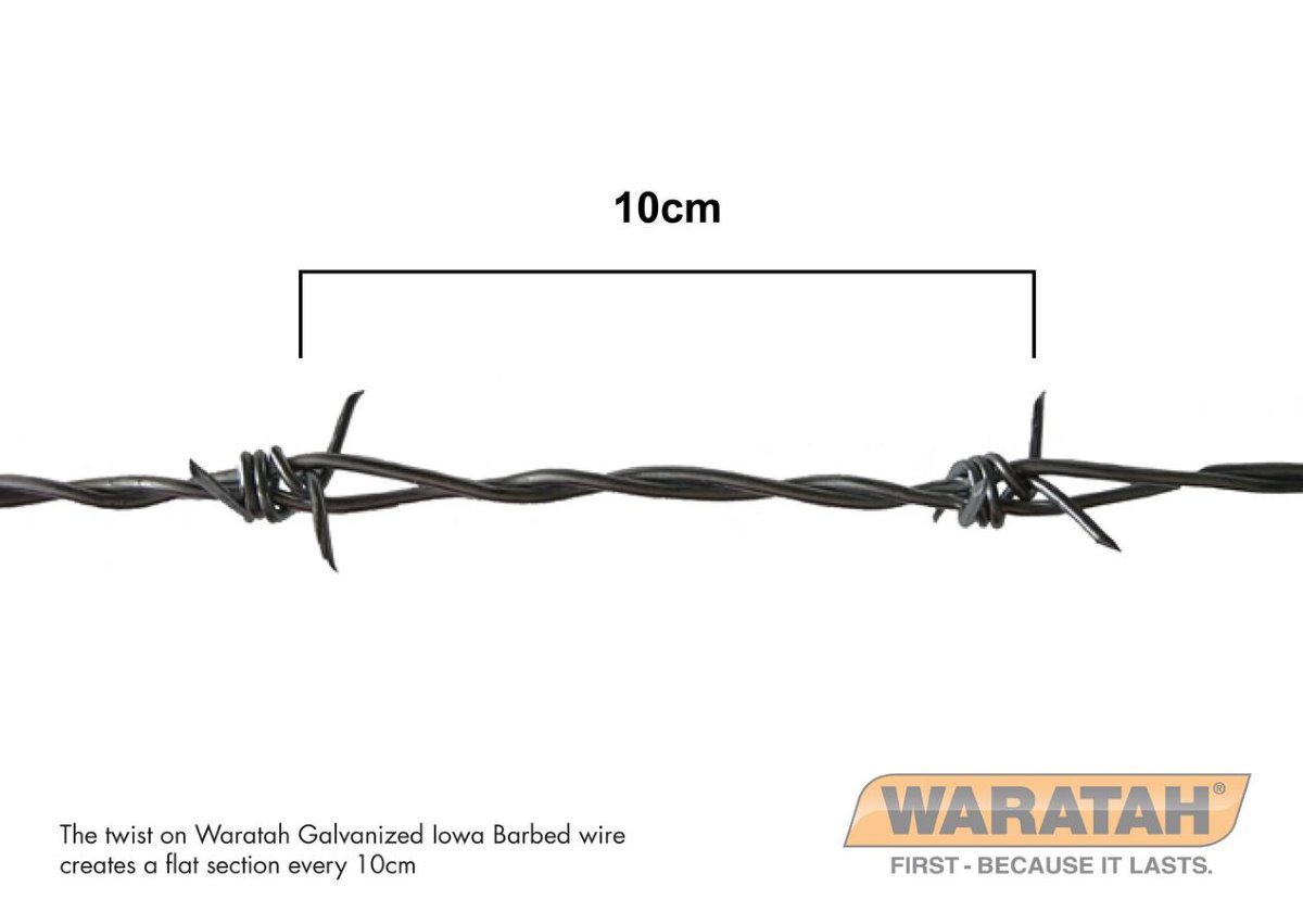 WAR Barbedwire Galvanized Iowa Barb Detail
