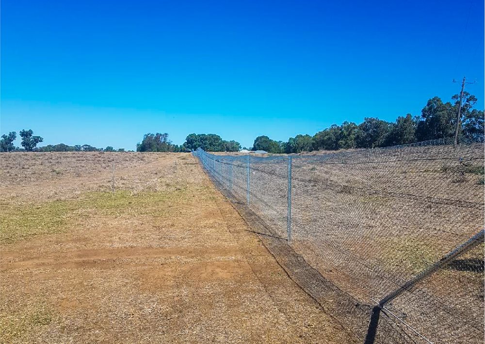 Turtle Fence 2