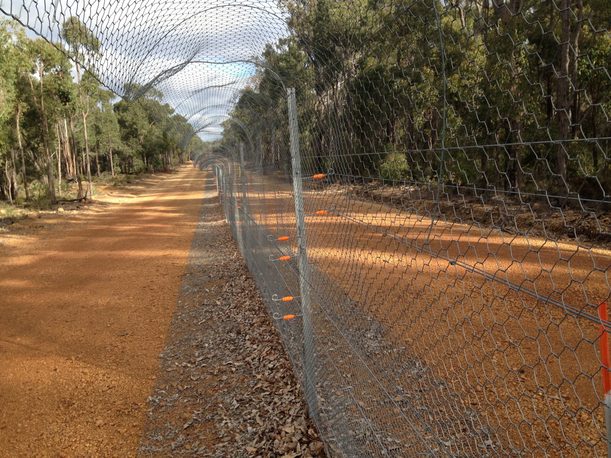 Waratah Longlife Blue Netting With Floppy Top Extension
