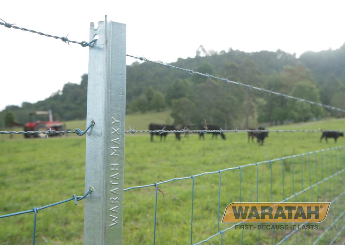 WAR Posts Galstar Maxy Post Insitu