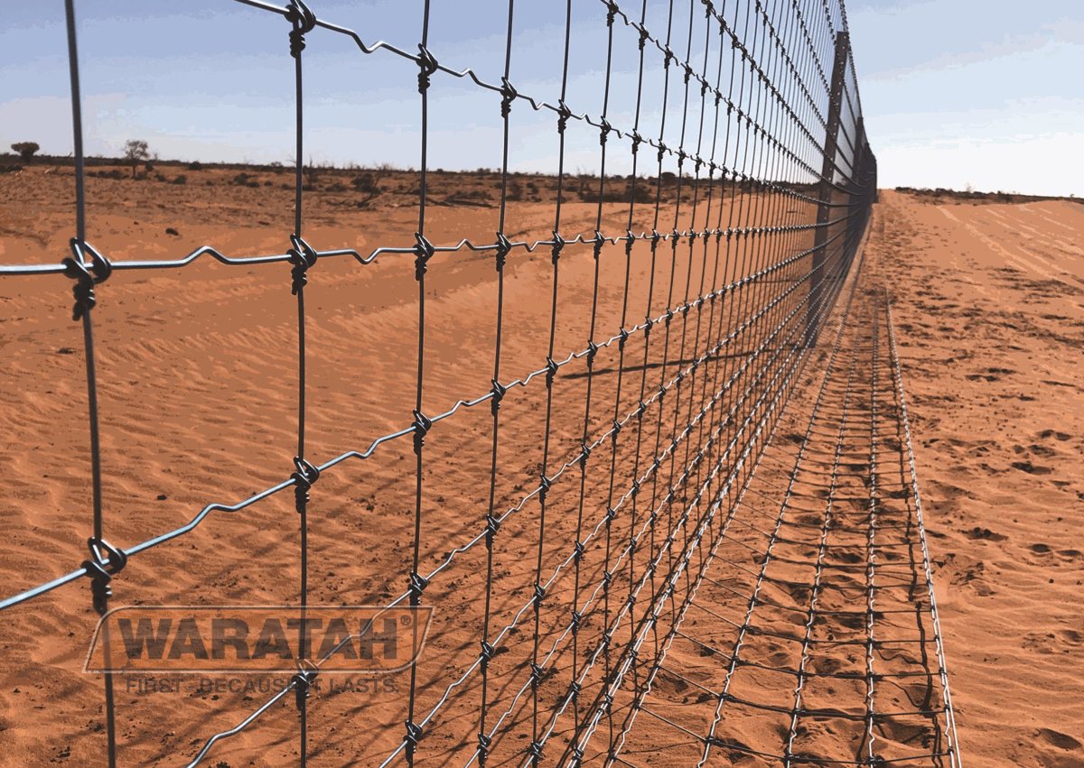 WAR Stockgrip Insitu