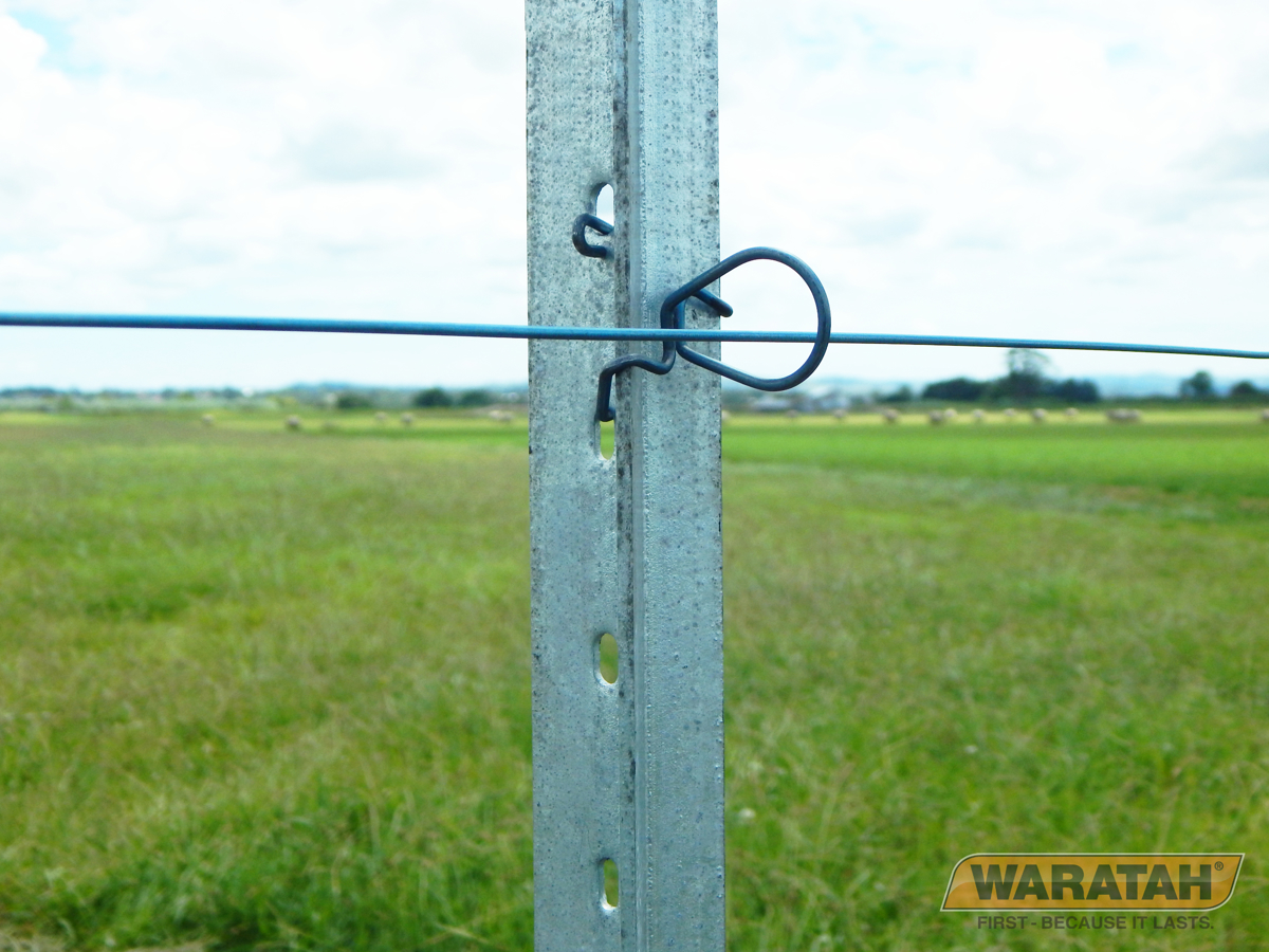 Bop Clip Plain Wire