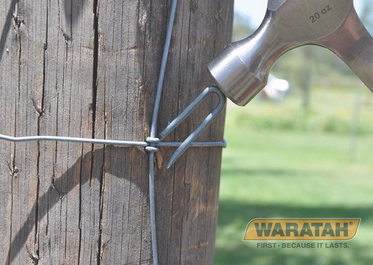 WAR Fencingaccessories LL Barbed Staples Insitu