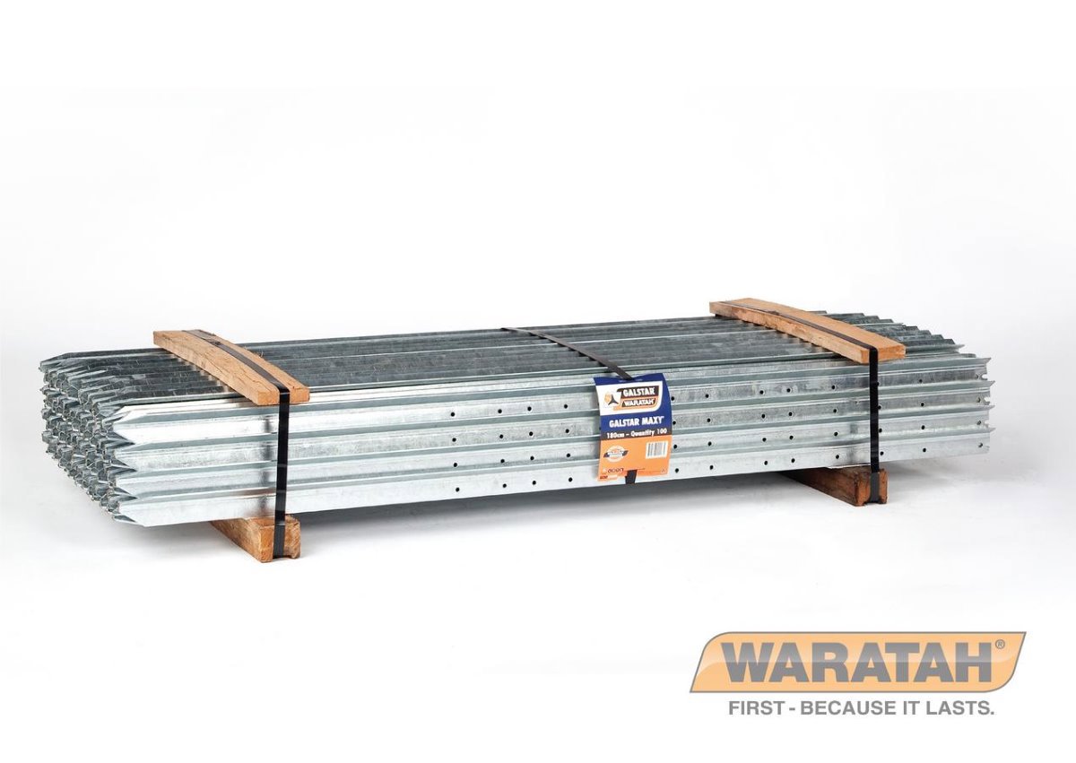WAR Posts Galstar Maxy Posts Packshot