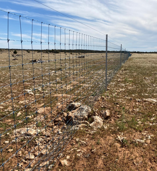 New Fence Comparison