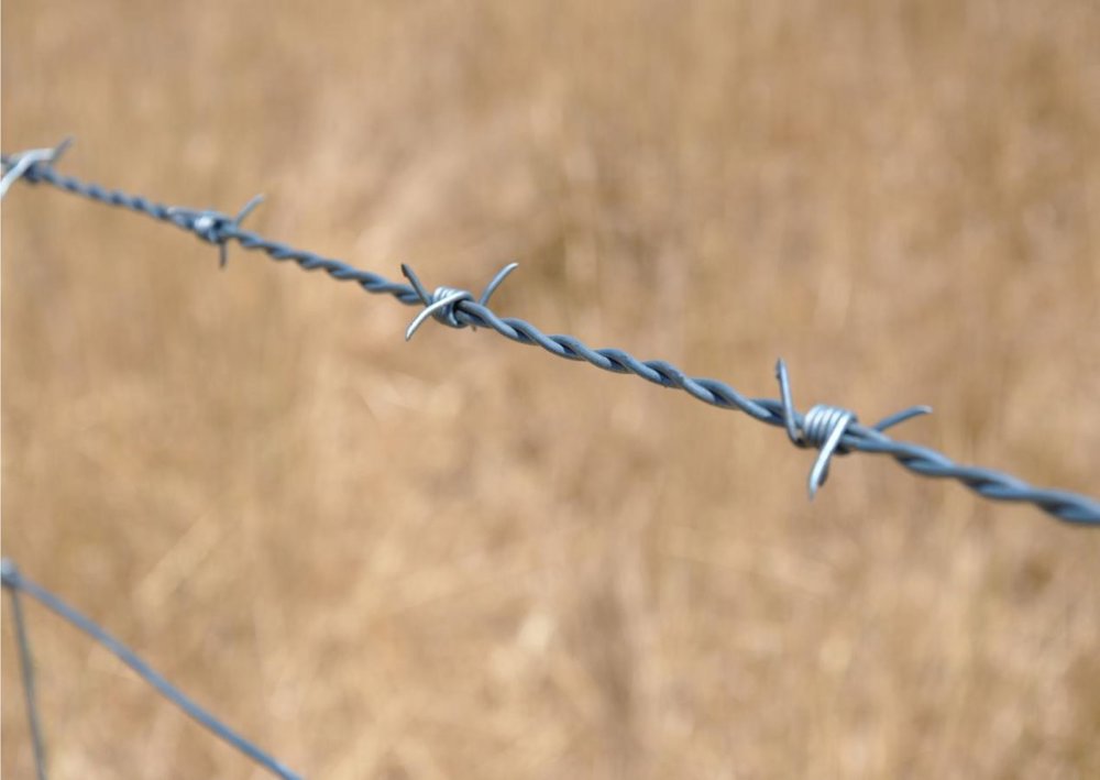 Longlife High Tensile Barbed Wire Fence Wire Waratah Fencing