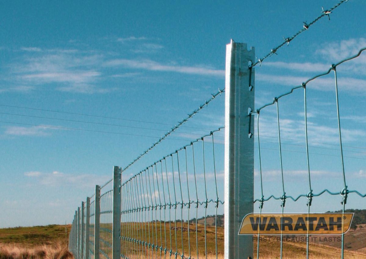 WAR Posts Blue Latch Posts Insitu
