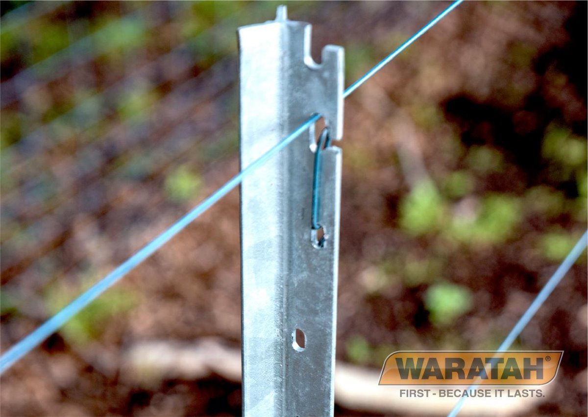 WAR Posts Blue Latch Star Post Insitu