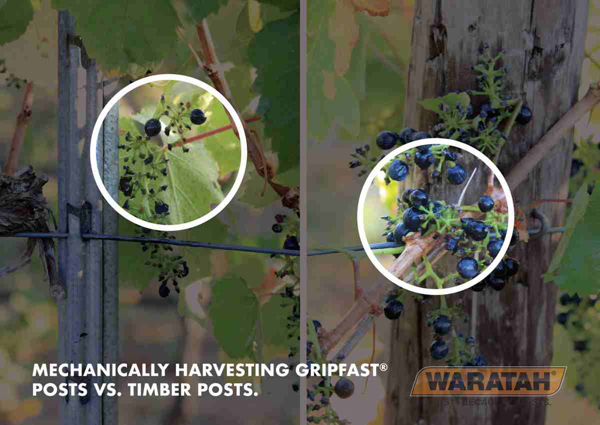 2 WAR Website Images Product Gripfastvstimber