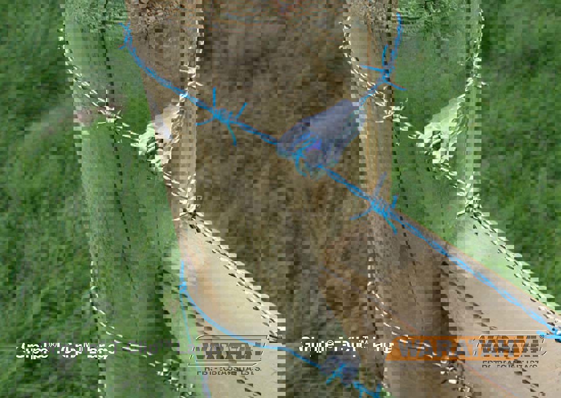 4 WAR Website Gripple T Clip Large Insitu