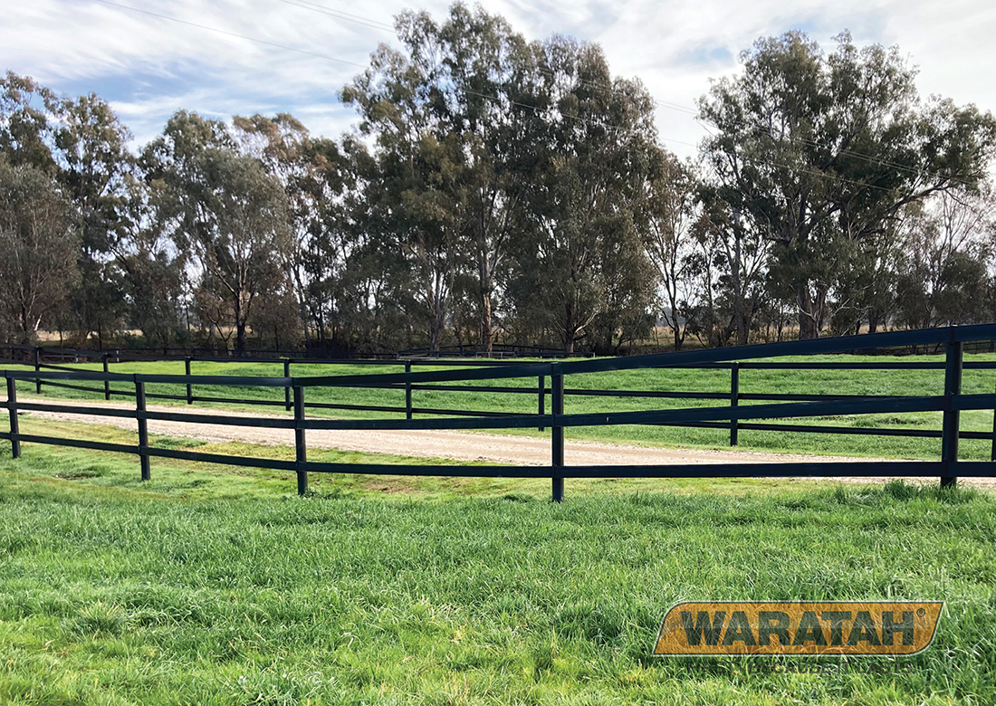 Flex Rail Electric Horse Fence 4