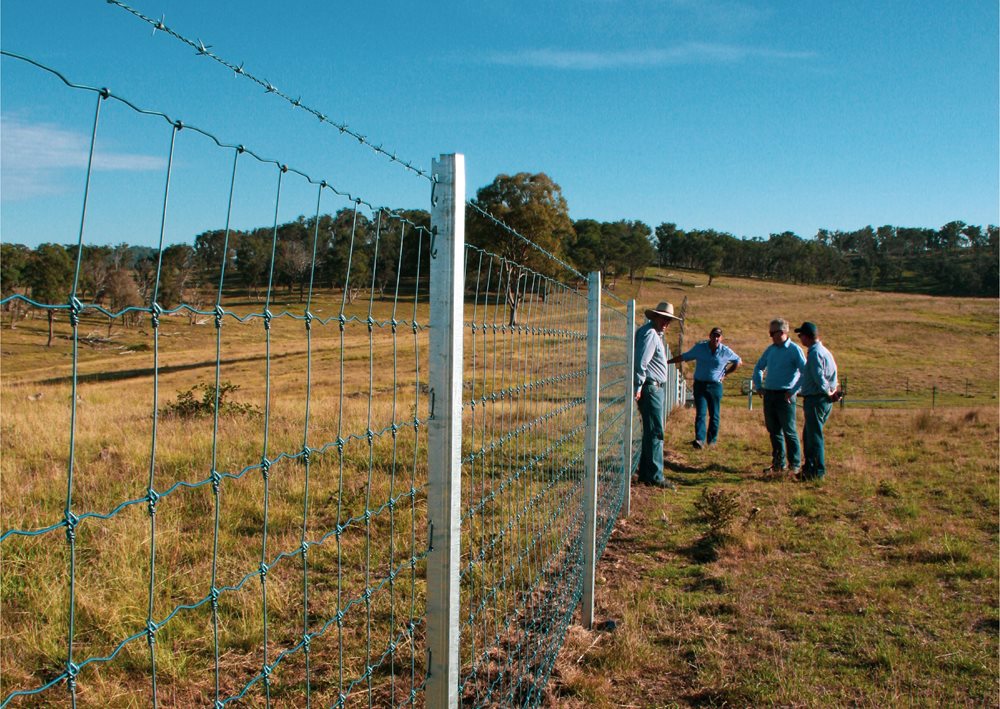 Wongwibinda Cluster Exclusion Fencing