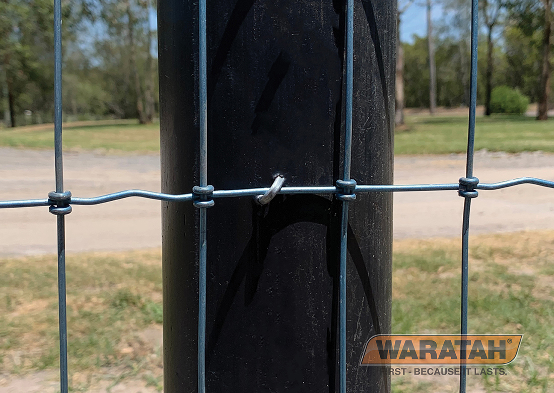 WAR Poly Post Website Images5