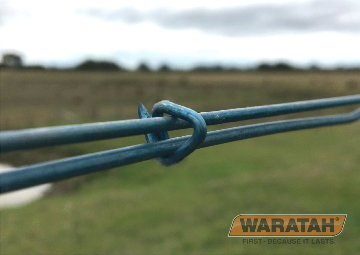 1 WAR Ring Fastener Clips Websiteimages Profile