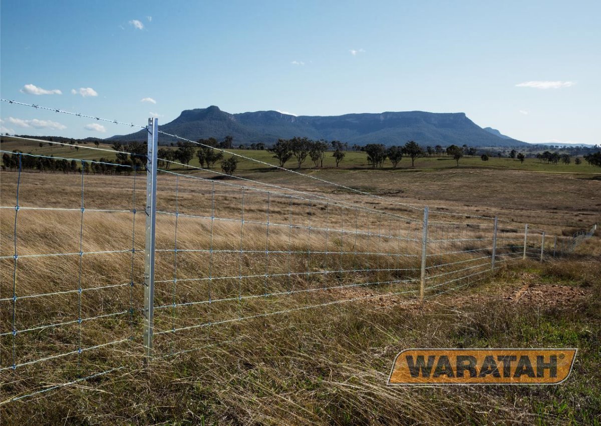 WAR Fabricatedfencing Stocklock Insitu
