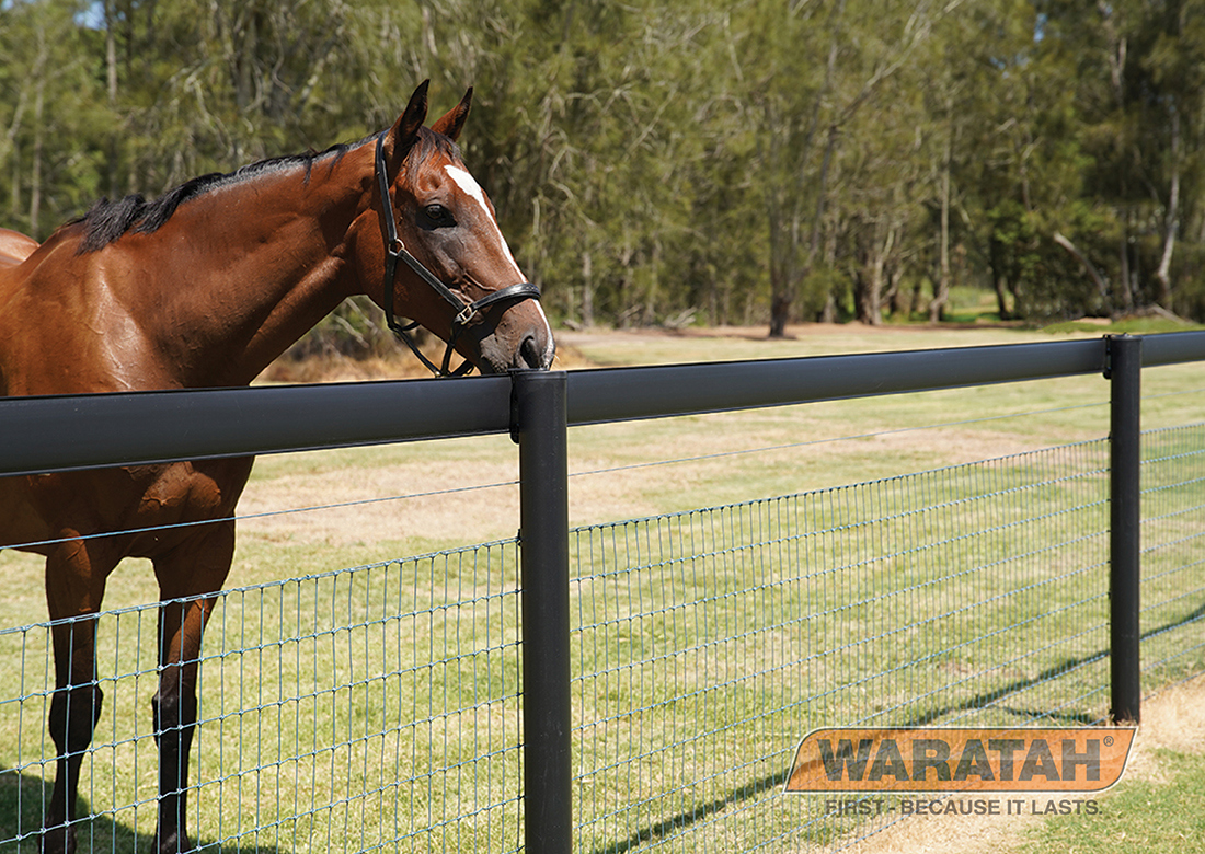 Flex Rail Electric Horse Fence 7