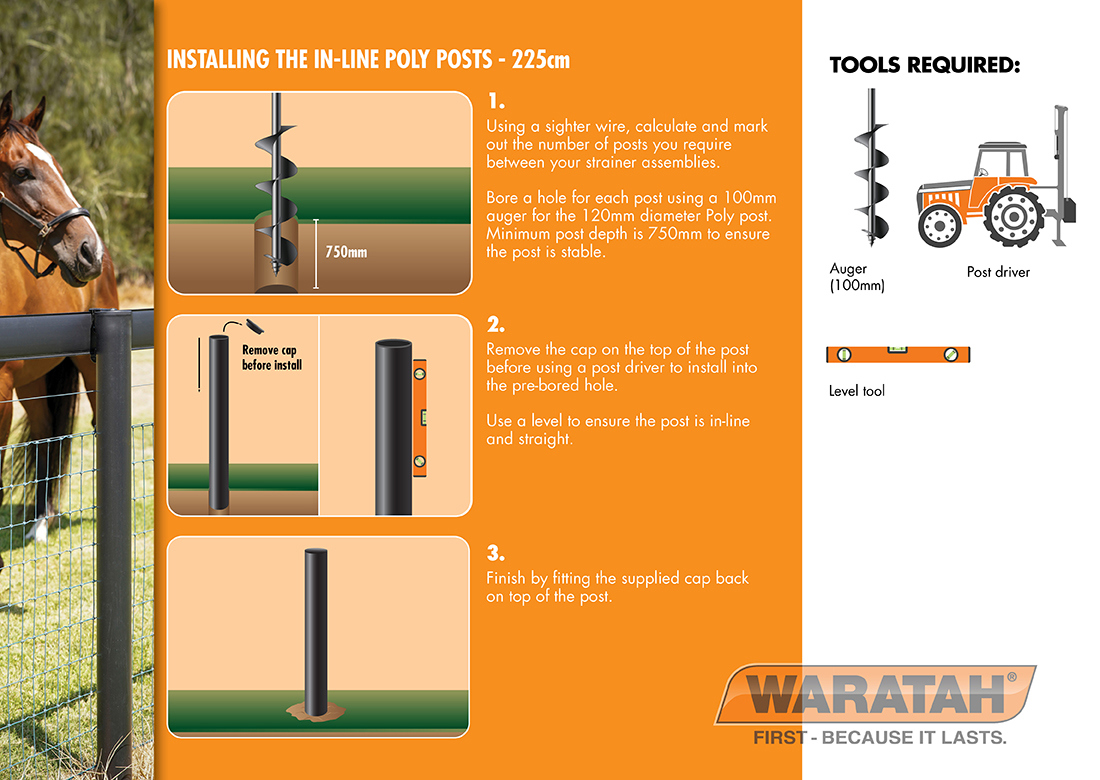 WAR Poly Post Website Images7