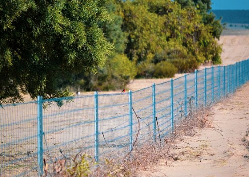 Vermin Fencing In Sand Bush Clay And Rock