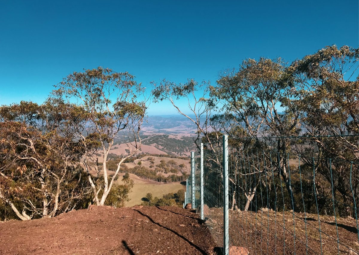 Fencing The Impossible Sheep Farmers Dream Fernleigh