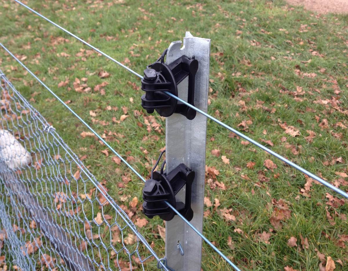 Jio Post Pinlock On Nett Fence Wesleydale Chudliegh Aug 2013 002
