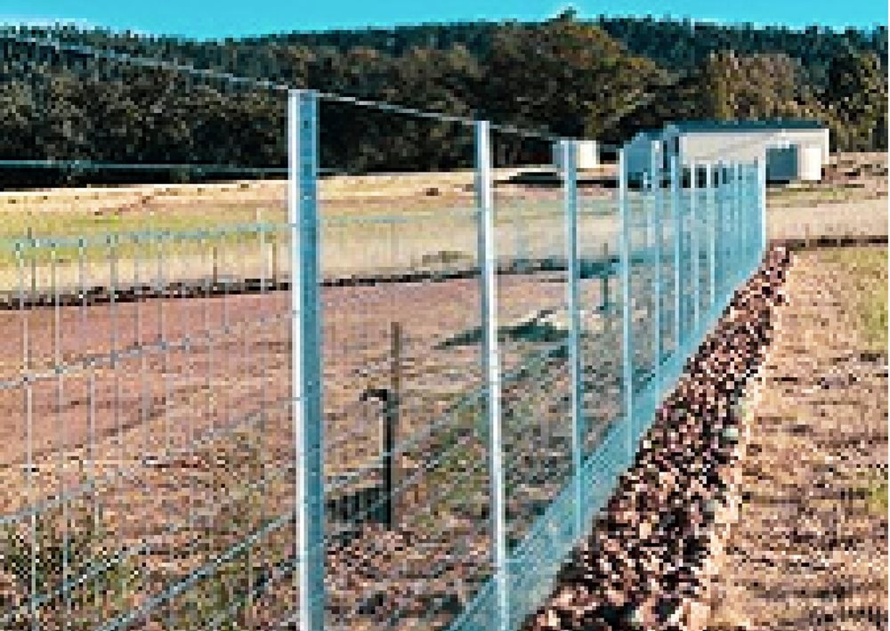 Roos And Rabbits Removed