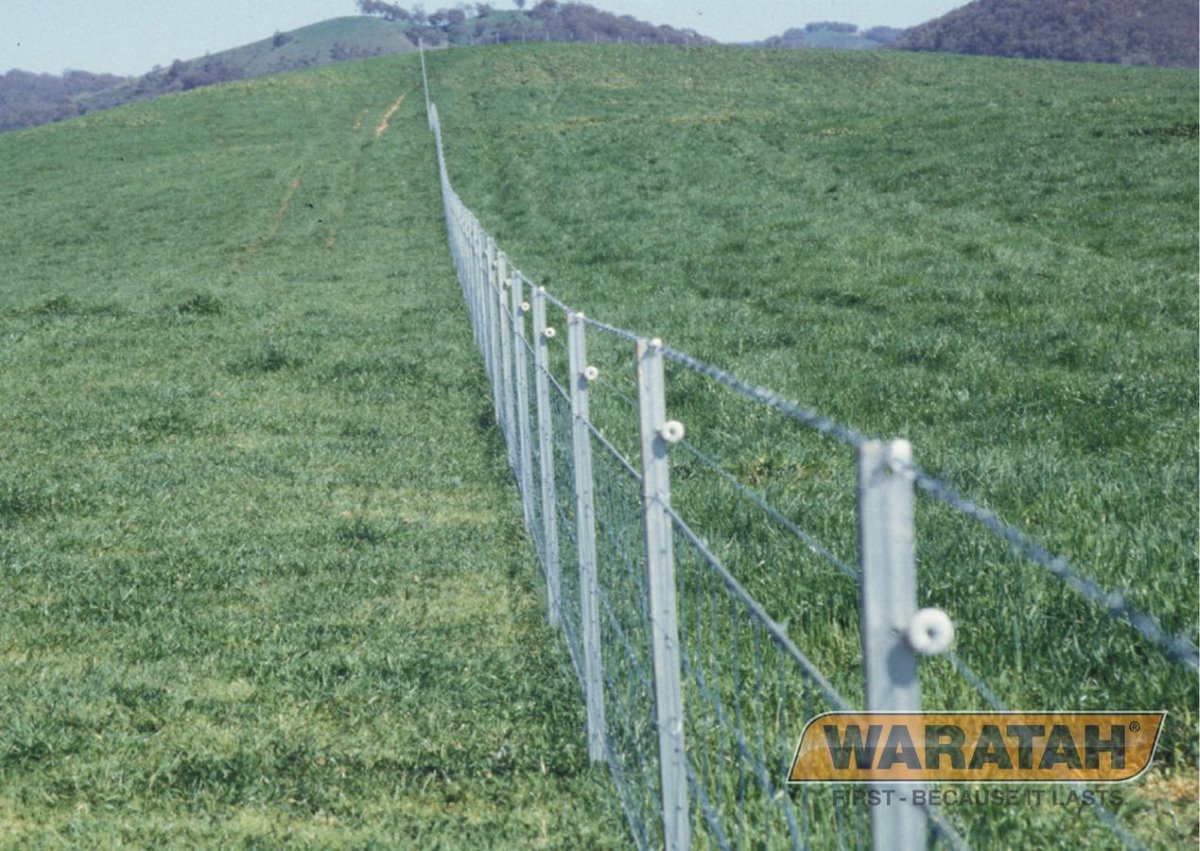 WAR Electricfencewire Websiteimages Tempelec Longlife Electric Wire Insitu