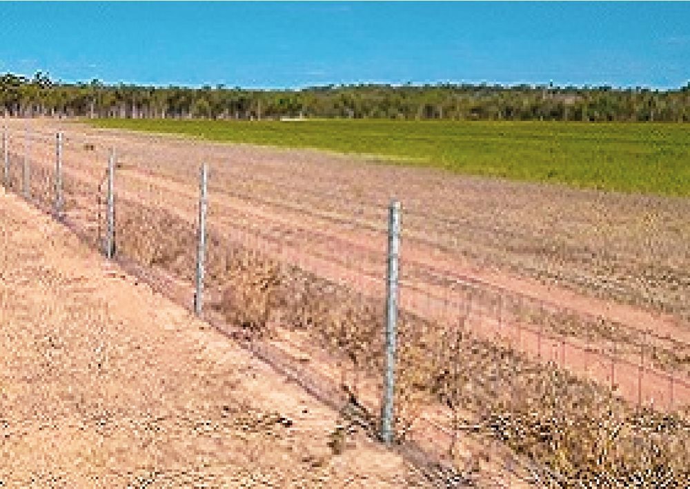 Wild Pigs Exclusion Fence