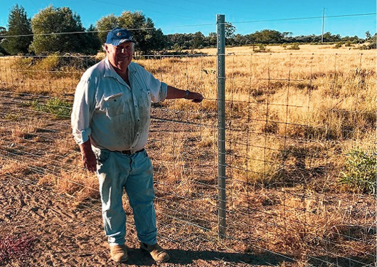 Noel Cook Adding Exclusion Fencing To Existing Fencing