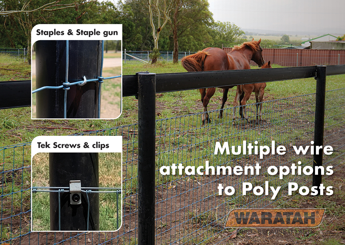 WAR Poly Post Wire Attachments Website Images