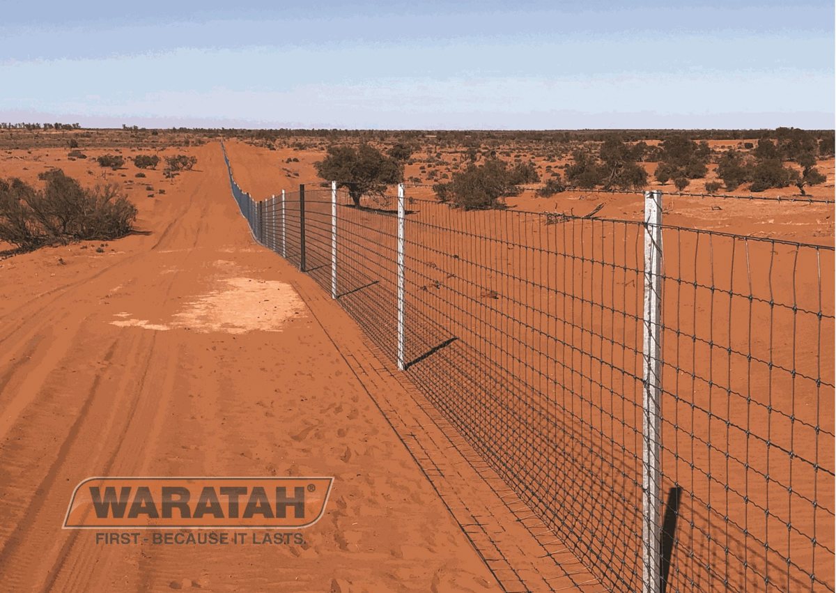 WAR Stockgrip Insitu2