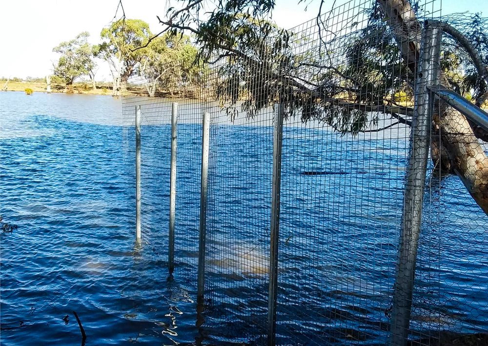 Turtle Fence