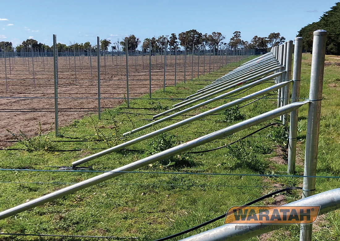 4 WAR Adjusta Stay Steel Trellis System