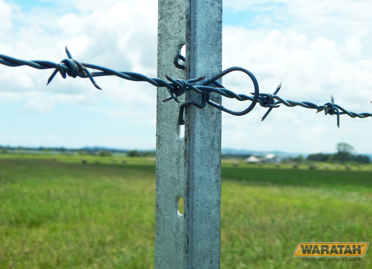 BOP Clip Barbed Wire