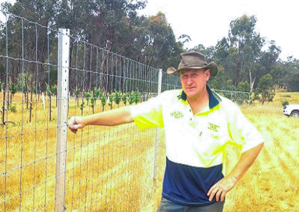 Vineyard Roo Proofing A Success