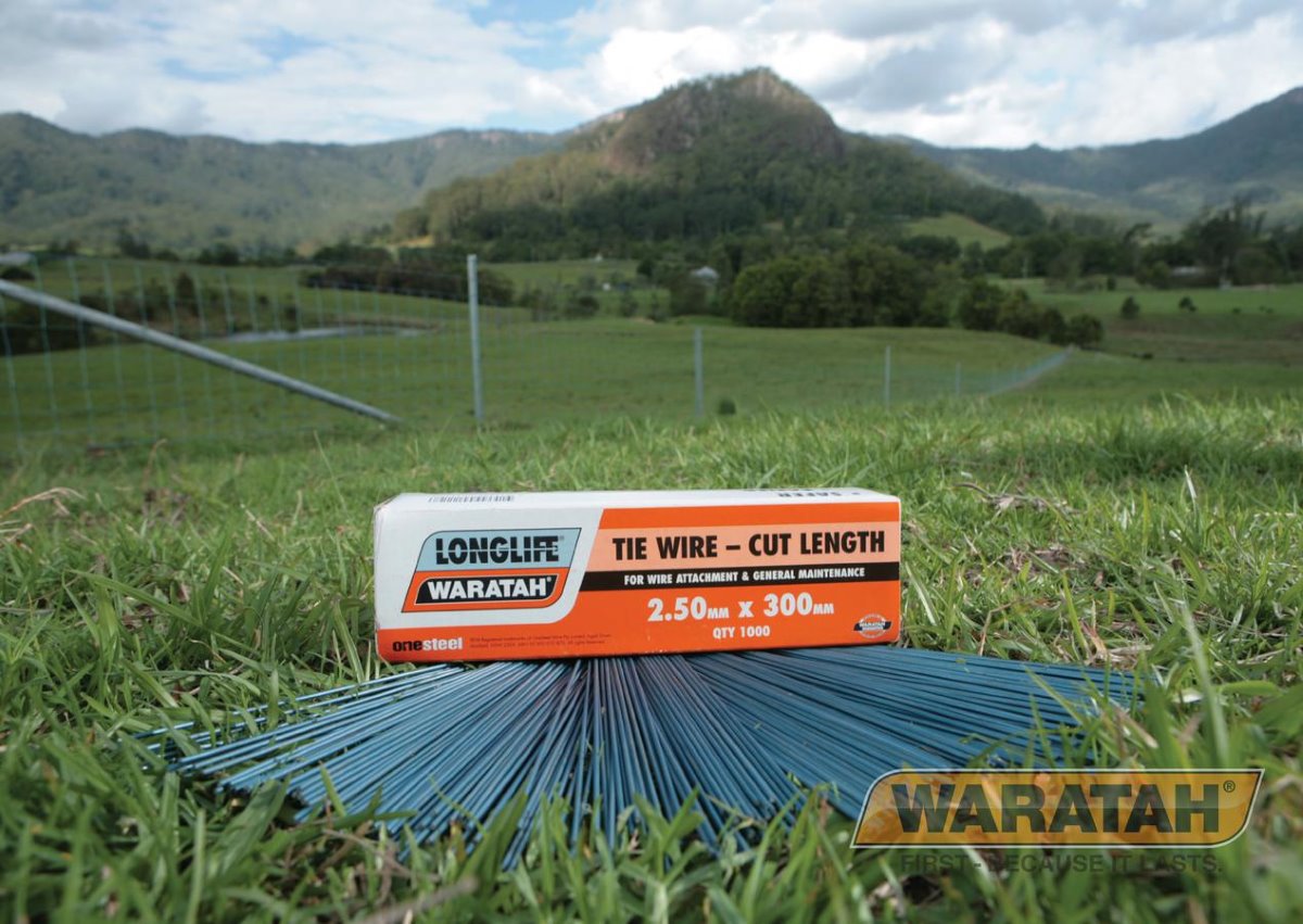 WAR Fencingaccessories LL Cut Length Tie Wire Packshot