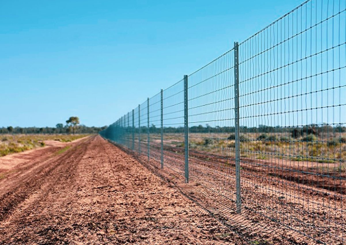 Exclusion Fencing Out For Good