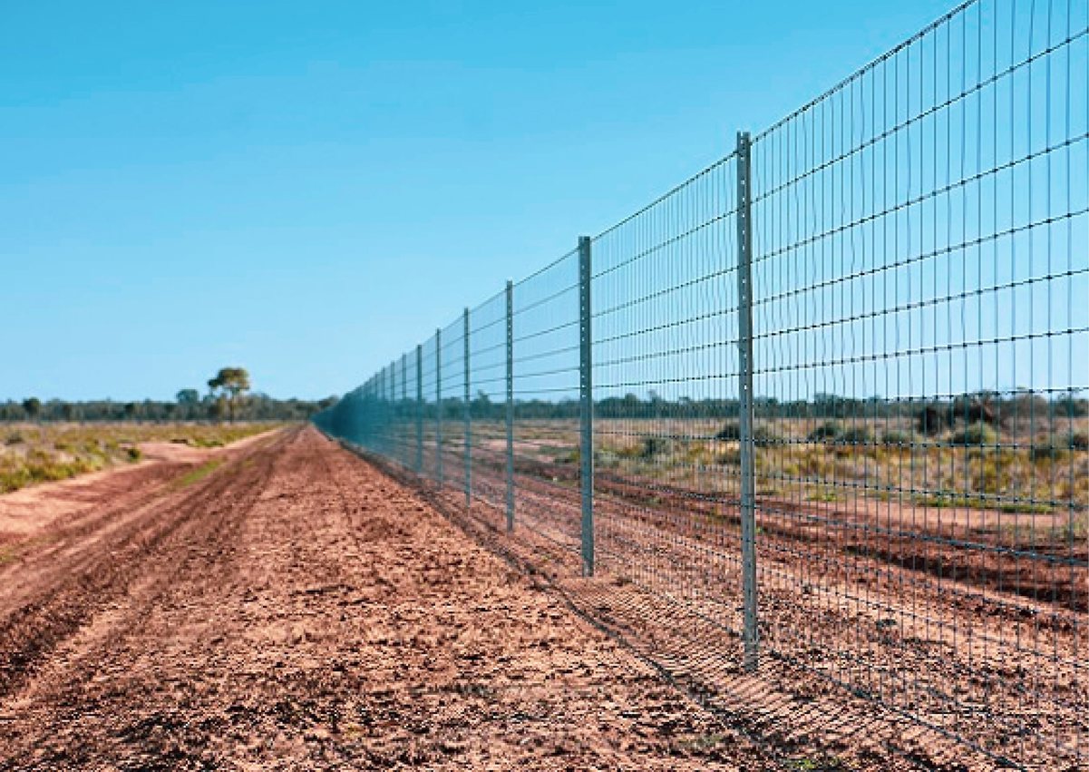 Exclusion Fencing Out For Good