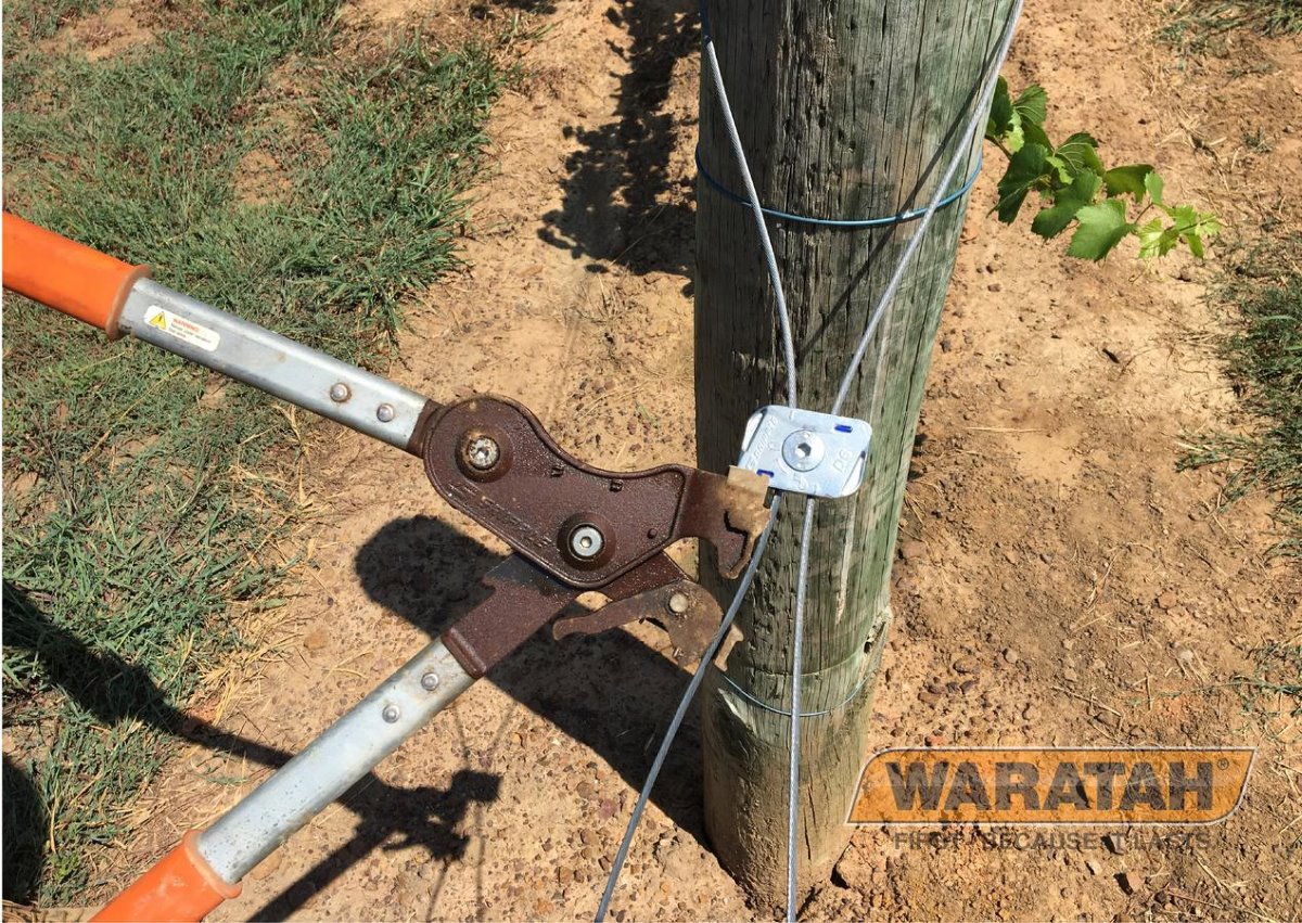 WAR Gripple Dynamic No4 No6 Insitu